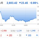 5월 19일 월요일: 브라질산 닭고기 수입 중단 소식에 육계 테마 들썩