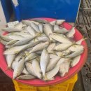 함평천지전통시장 이미지