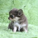 은아농장 이미지