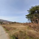 양덕동487 이미지