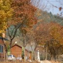 굿모닝펜션민박 이미지