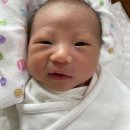 노블맘 산후조리원 | 안양 범계 산후조리원 노블맘 만족한 후기