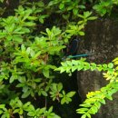 평창강힐링하우스2 이미지