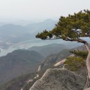 금수산식당