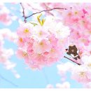 하우 두 유 필(how do you feel?) 이미지