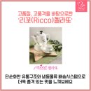 커피존주식회사