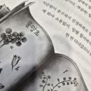 엄마꿈약국 이미지