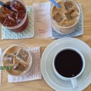 비바커피 이미지