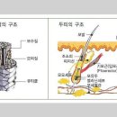 모표 이미지