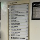 범계역 5번출구 | 범계 CGV 어쩔수가 없다 리클라이너 관람 후기 (좌석 및 영화관크기 상세 리뷰)