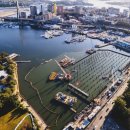 목포세발낙지 이미지