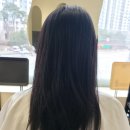 엠플러스헤어 - 광진구 | 배곧미용실 추천 에이바헤어배곧점에서 아윤채 클리닉 받고 머릿결 살렸어요