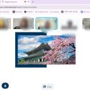 원어민과 함께하는 영어회화(초급) | [화상영어회화학원] 월스트리트 잉글리시 온라인 수업 후기 – 집에서 원어민과 함께하는 영어회화