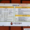 석장리박물관 이미지