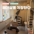 주현 | 서현 미용실 헤어살롱 치장하다 주현 디자이너 남성커트 후기