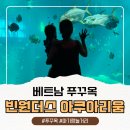 물고기(물과의 만남 | 푸꾸옥 빈원더스 아쿠아리움 두돌 미만 아기 여행 후기