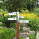청운고속관광
