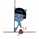 에스짐 이미지