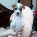 회피뉴이어~~