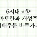 부여토마토 이미지