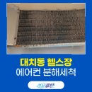 성모클린 이미지
