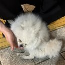 운말참숯갈비 이미지