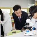 서경초등학교 이미지