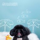 그루머로 이미지