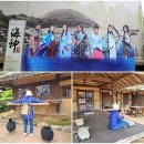 완도 주도 상록수림 | 완도 가볼만한곳 국내 1박2일 여행지 효도여행