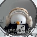 바이온드 | [마케팅 부트캠프/퍼포먼스 마케터 취업 준비] 도와세움 디마에 89기 6주차 후기 (1), 연휴 끄읕 ㅠ