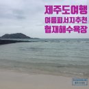 동부로 옥천-2-1 이미지