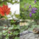 느릅나무민박 이미지