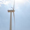 대관령축산 이미지