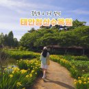 태안여행 청산수목원 수국축제 꽃창포축제 인생샷 사진찍기좋은곳