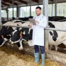 정도축산 이미지