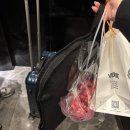 부강스토리 | [스냅 촬영] 우리스냅 (상하이 스냅, 웨딩스냅, 완전 추천, 솔직 후기, 촬영기)