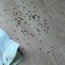 고흥 고요한바다펜션 객실 후기 | 아이와 함께 가볼 만한 고흥 펜션