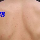 경희바른맥한의원 이미지