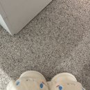 서판교센트럴공인중개사사무소 | 동탄 판교 출퇴근 필수 체크📍 동원로얄듀크포레4차 매수 후기