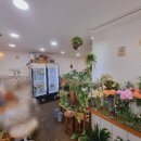 H2524 이미지
