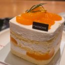 더플레이스빌딩(일오삼플레이스) | 강남역 투썸플레이스 케이크 추천 | 파이낸셜뉴스빌딩점 귤 케이크 솔직후기