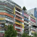 안산 에스테틱 뷰티공감 : 등관리 솔직후기