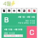안성팜랜드 유채꽃 벚꽃 목련 4월 봄꽃 구경