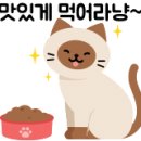 삼희어린이집 이미지