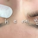 더예쁜 속눈썹 네이버블로그