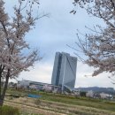 참(charm)행정사 사무소 이미지