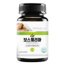 (주)웰빙 이미지