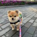 호두미디어 이미지