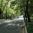 청주스크랩 이미지