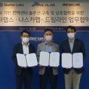 드림라인